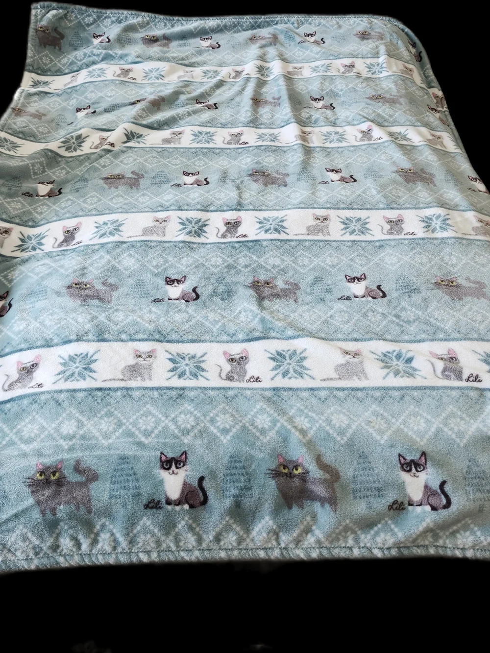 Berkshire Blanket Cat Creations Lili Chin Plush Throw Mint Teal Gray Fair Isle